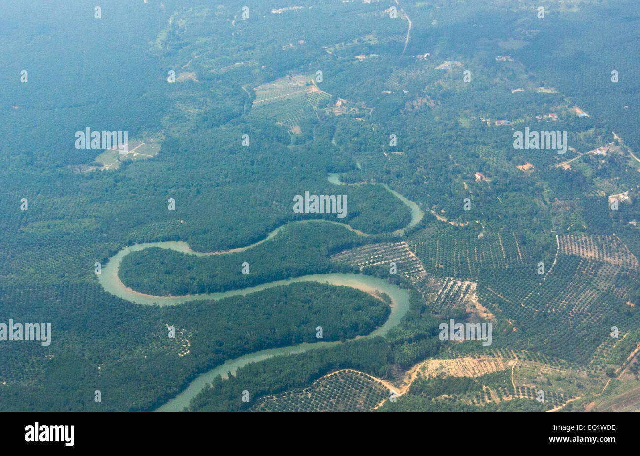 palmoil plantation at river Sungai Sebina Stock Photo