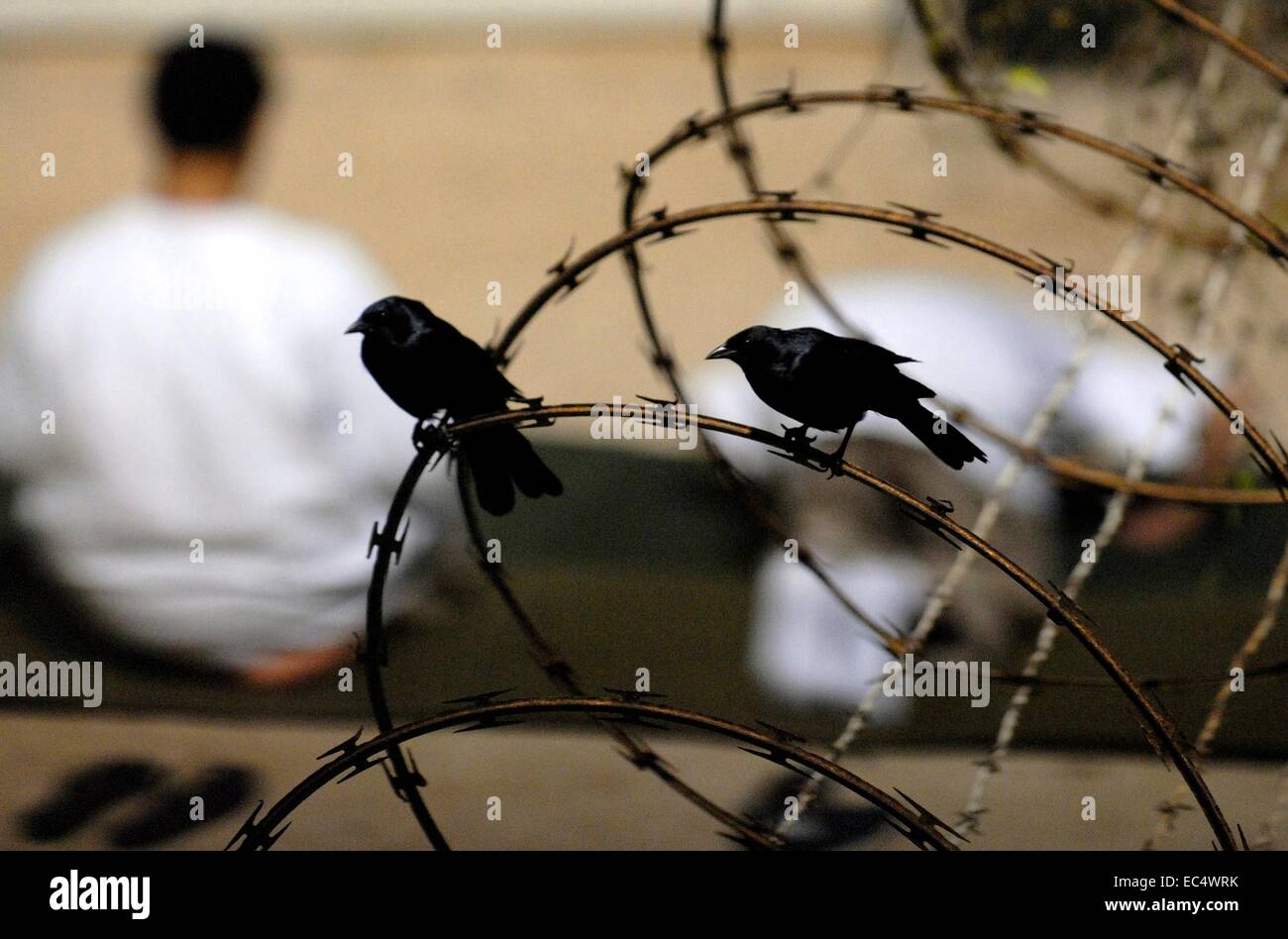 Enemy combatants held as detainees at the Joint Task Force Guantanamo observe morning prayer before sunrise inside Camp Delta November 19, 2009 in Guantanamo, Cuba. The detainees were captured in the wars in Iraq and Afghanistan. Stock Photo