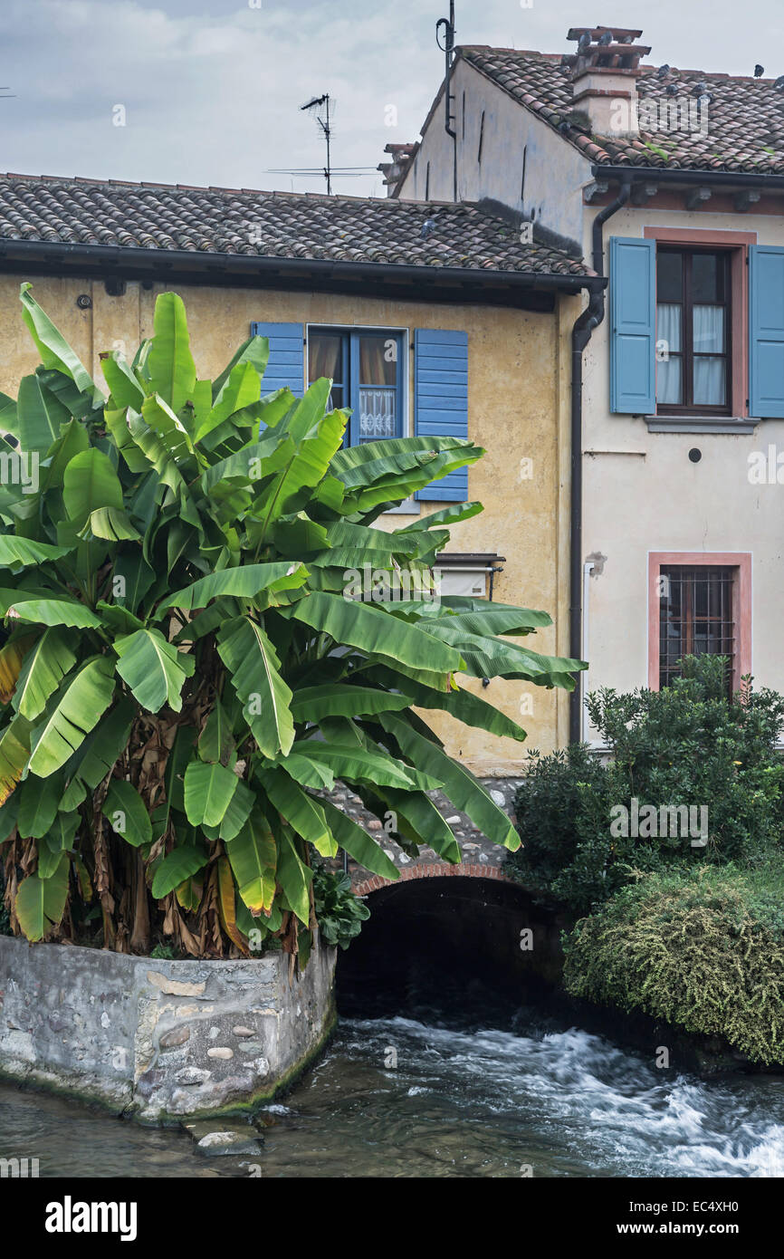 Idyllic house over the river built with bananas tree Stock Photo