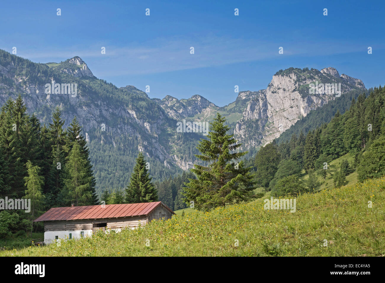 Hauserbauern hut in valley Längental with Probst wall Stock Photo