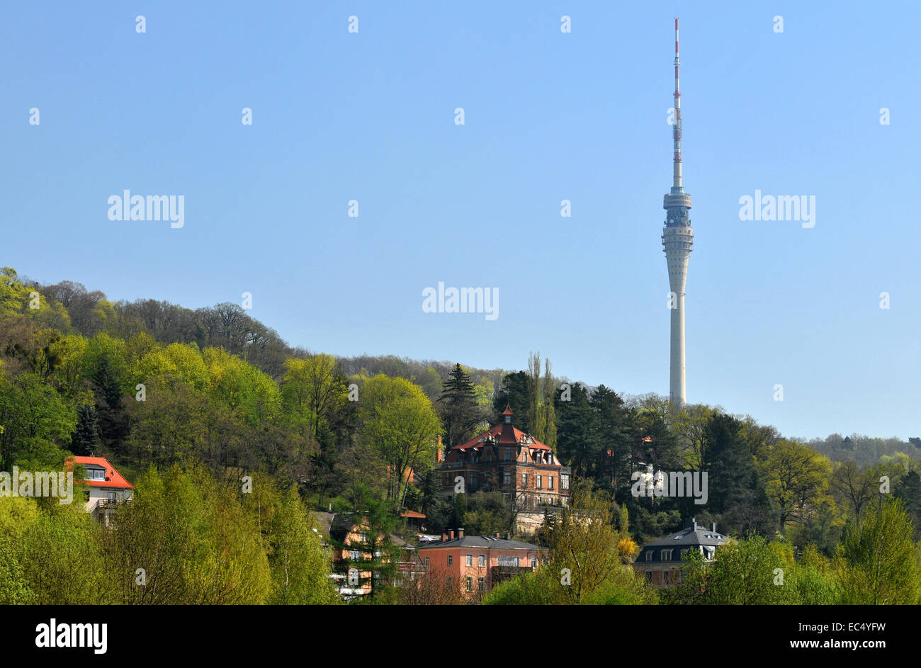 tower Stock Photo