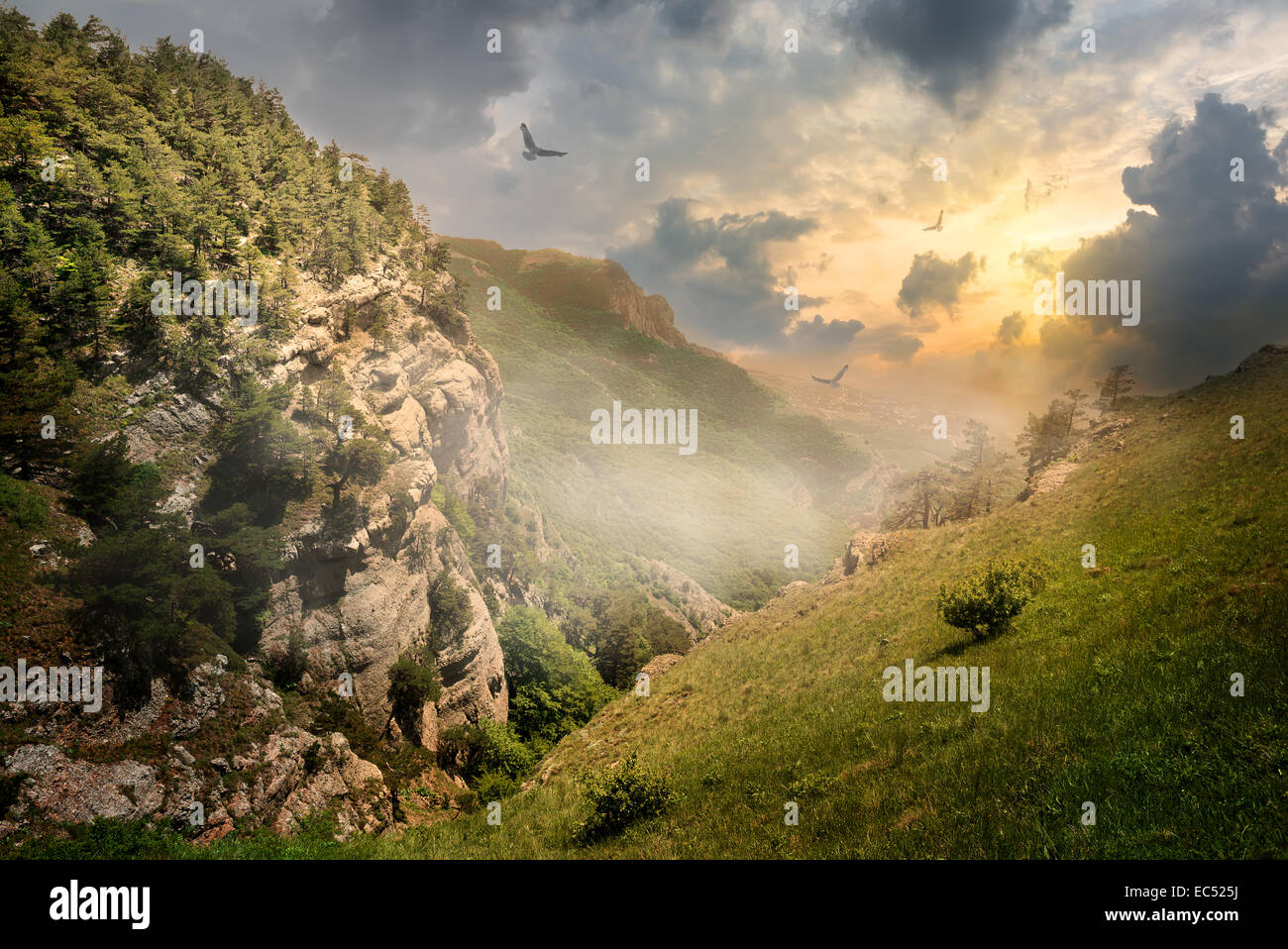 Birds over rocks and fog at the sunrise Stock Photo