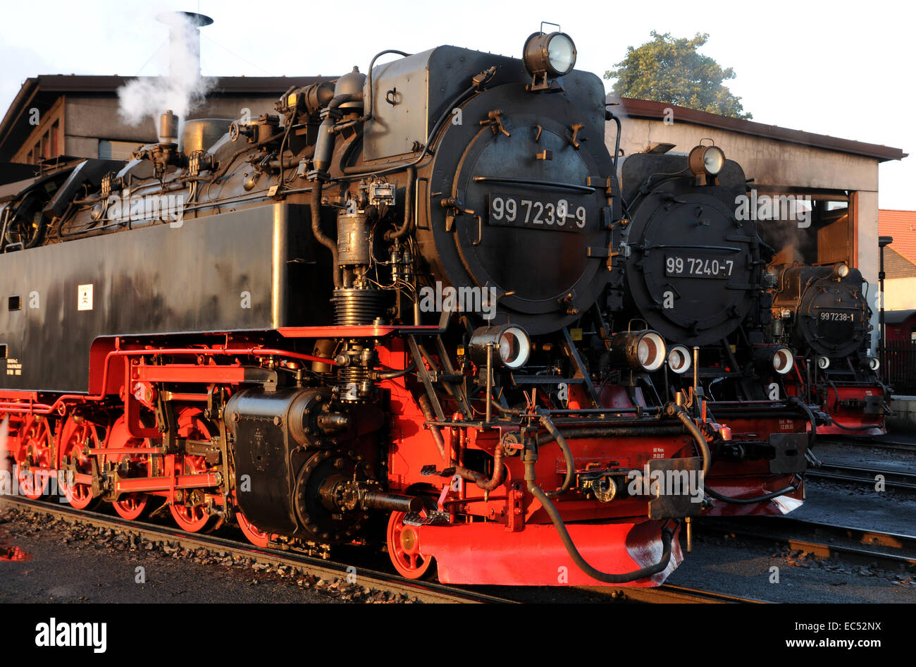 Steam Locomotives Stock Photo
