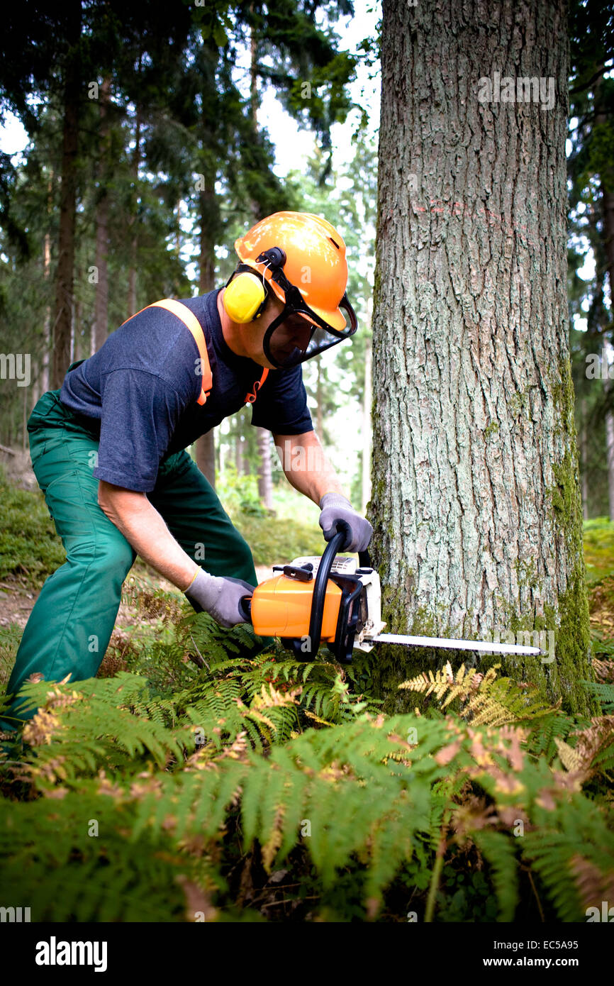 a woodcutter at work in the forest Stock Photo - Alamy