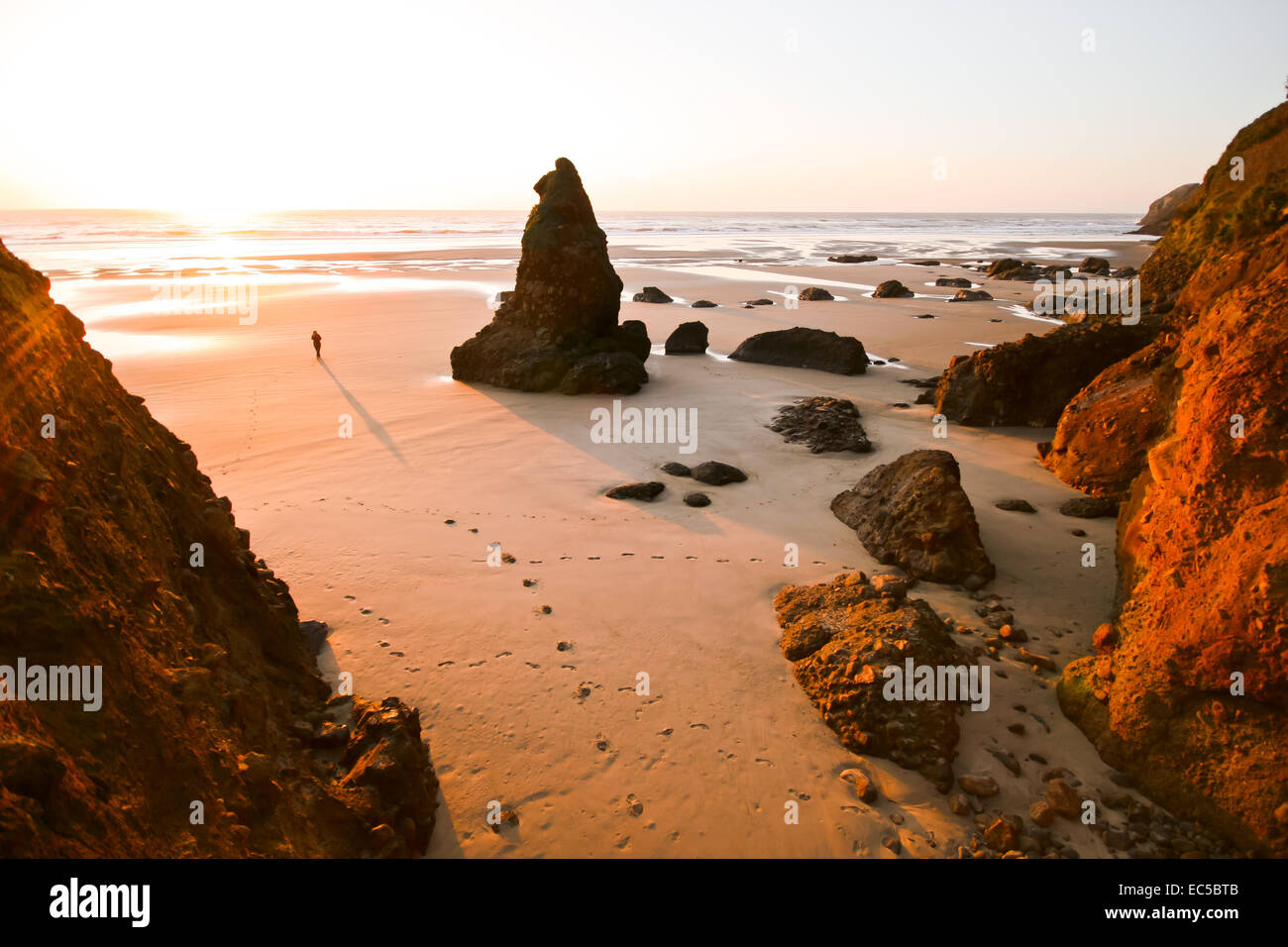 Heceta Beach Hi res Stock Photography And Images Alamy heceta-beach-hi-res-stock-photography-and-images-alamy