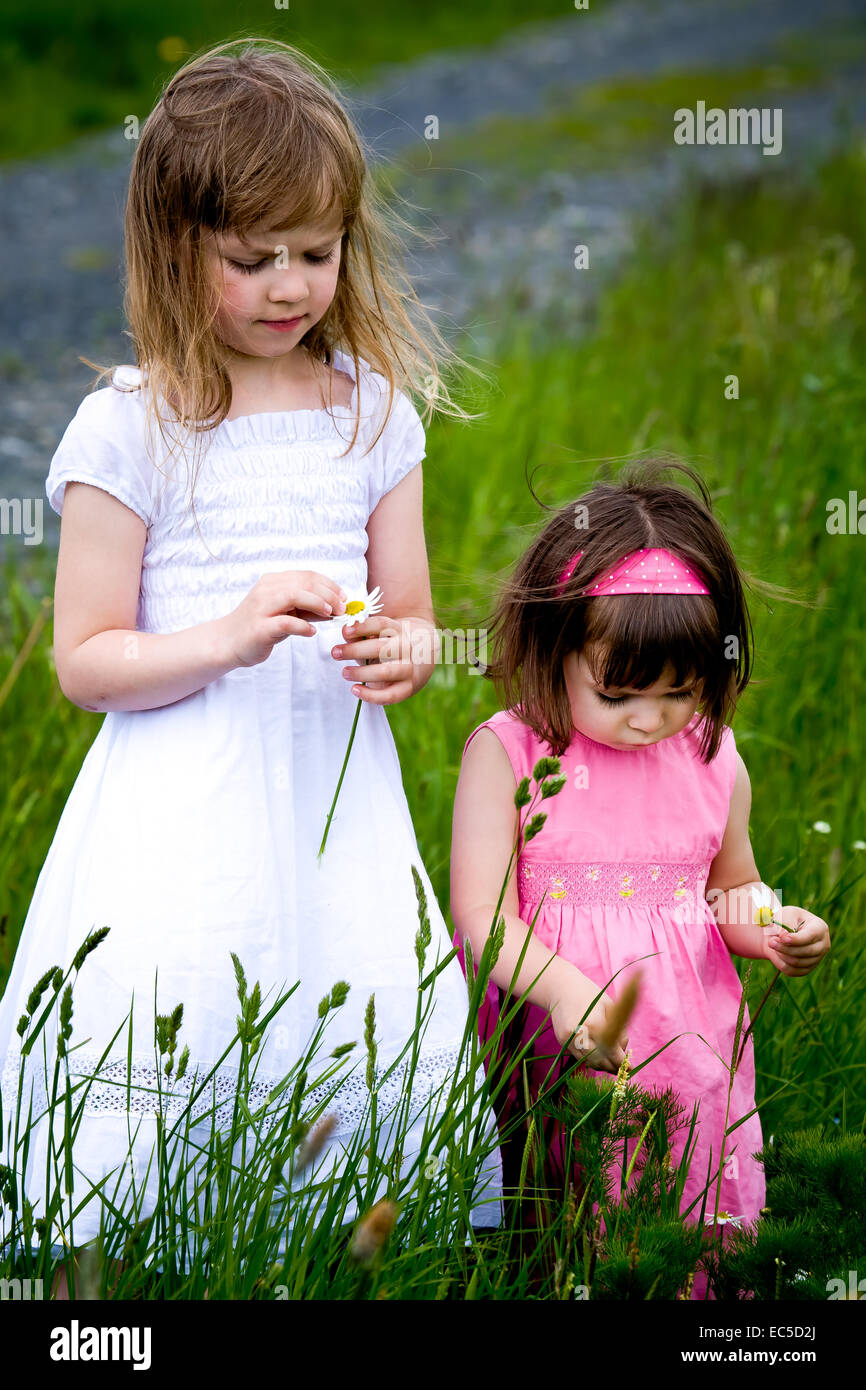little girls walking and ranking the fields Stock Photo - Alamy