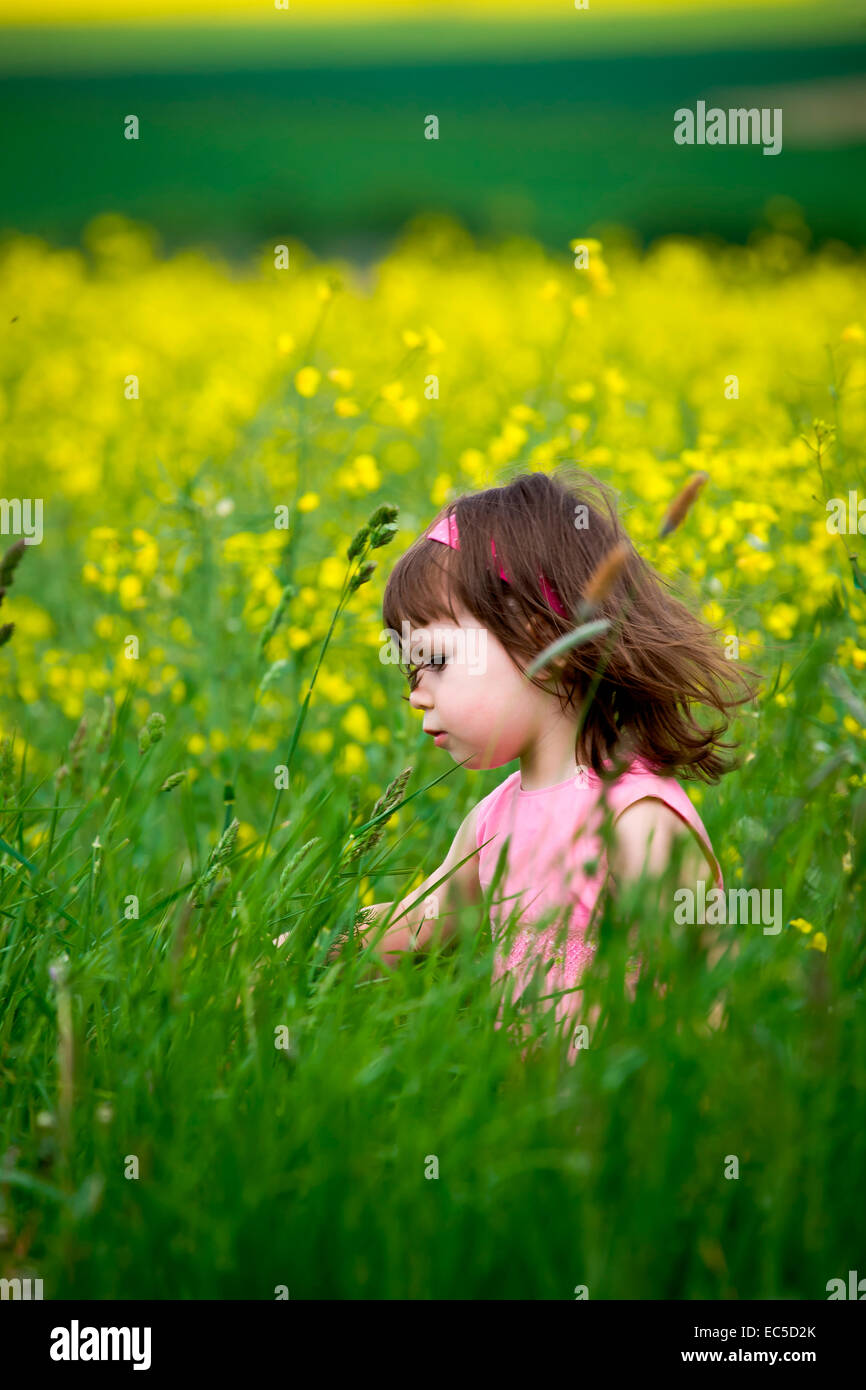 little girls walking and ranking the fields Stock Photo - Alamy