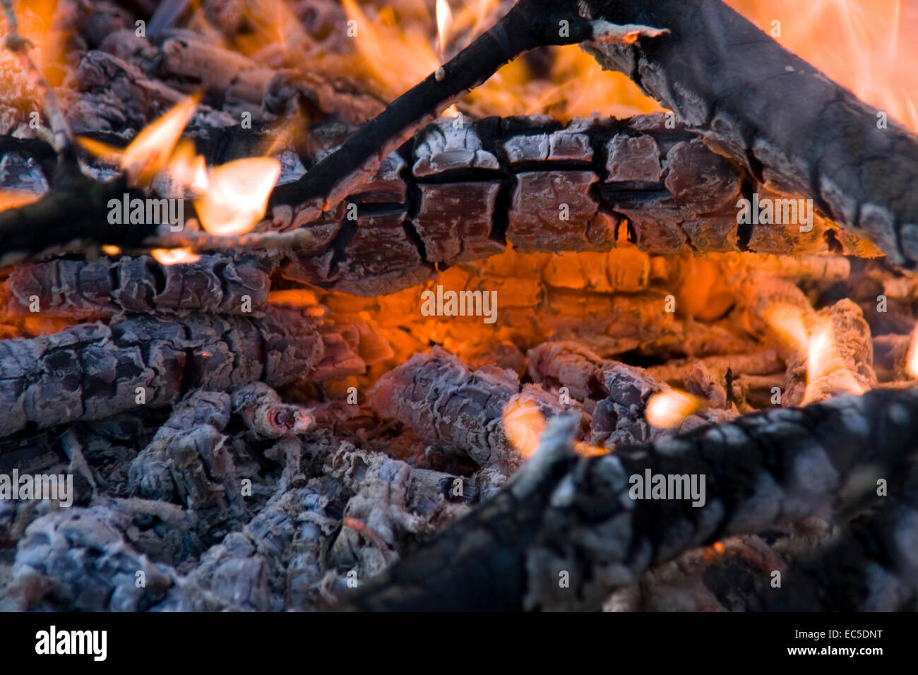 cinders shoes dunnes stores