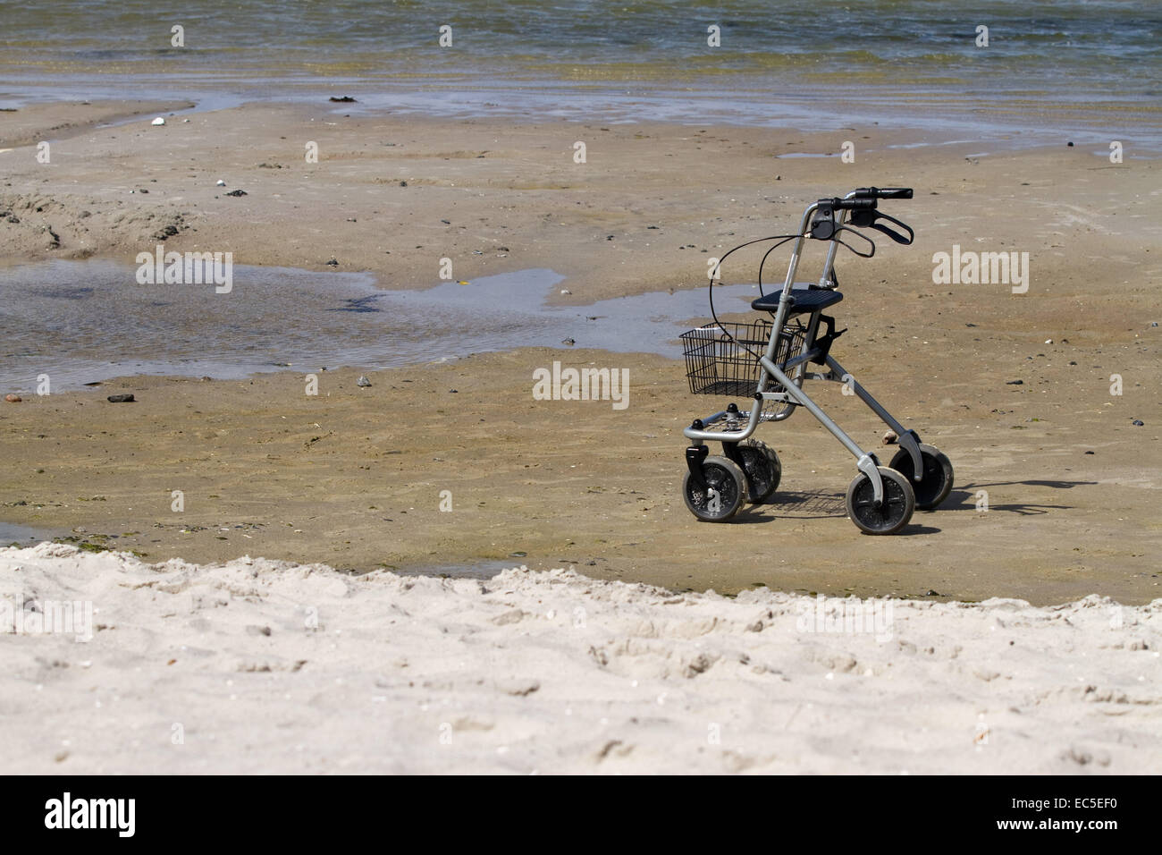 walker on the beach Stock Photo Alamy