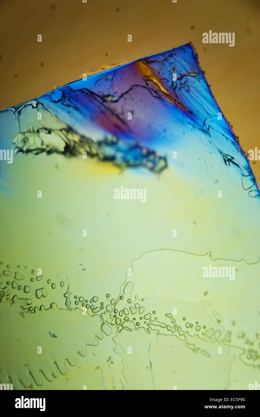 Light Graphics Microphoto of translucent structures in polarized light ...