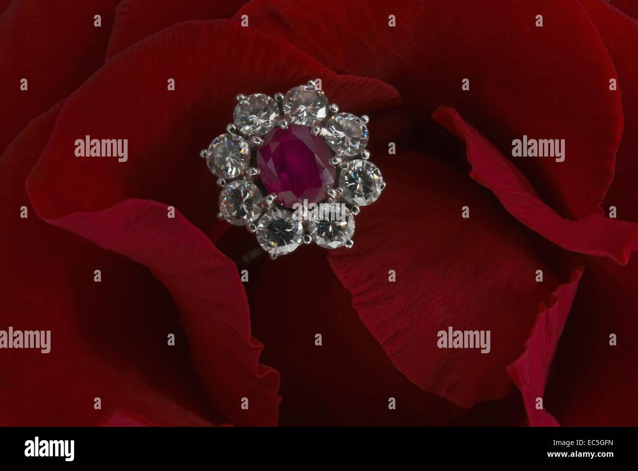 luxuriuos diamond ring in a red rose Stock Photo