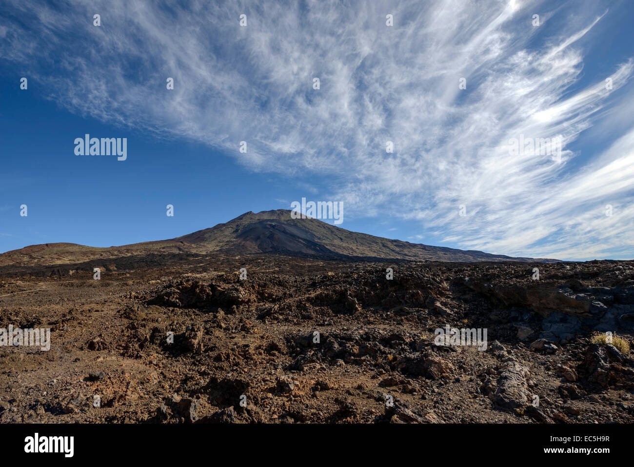 Chio Tenerife High Resolution Stock Photography And Images Alamy