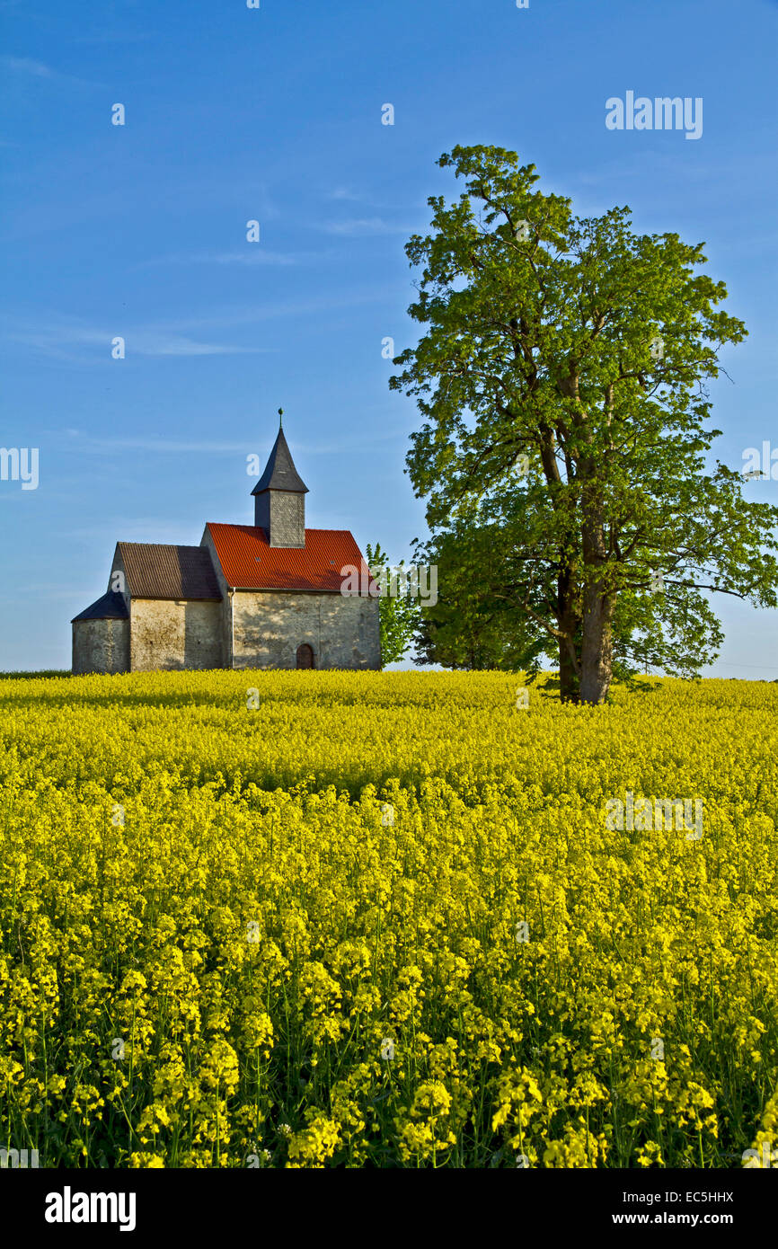 small Church in the Saale-Orla-Kreis, Thuringia, Germany, Europe Stock Photo