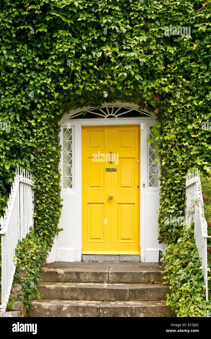 yellow door with ivy, Ireland Stock Photo