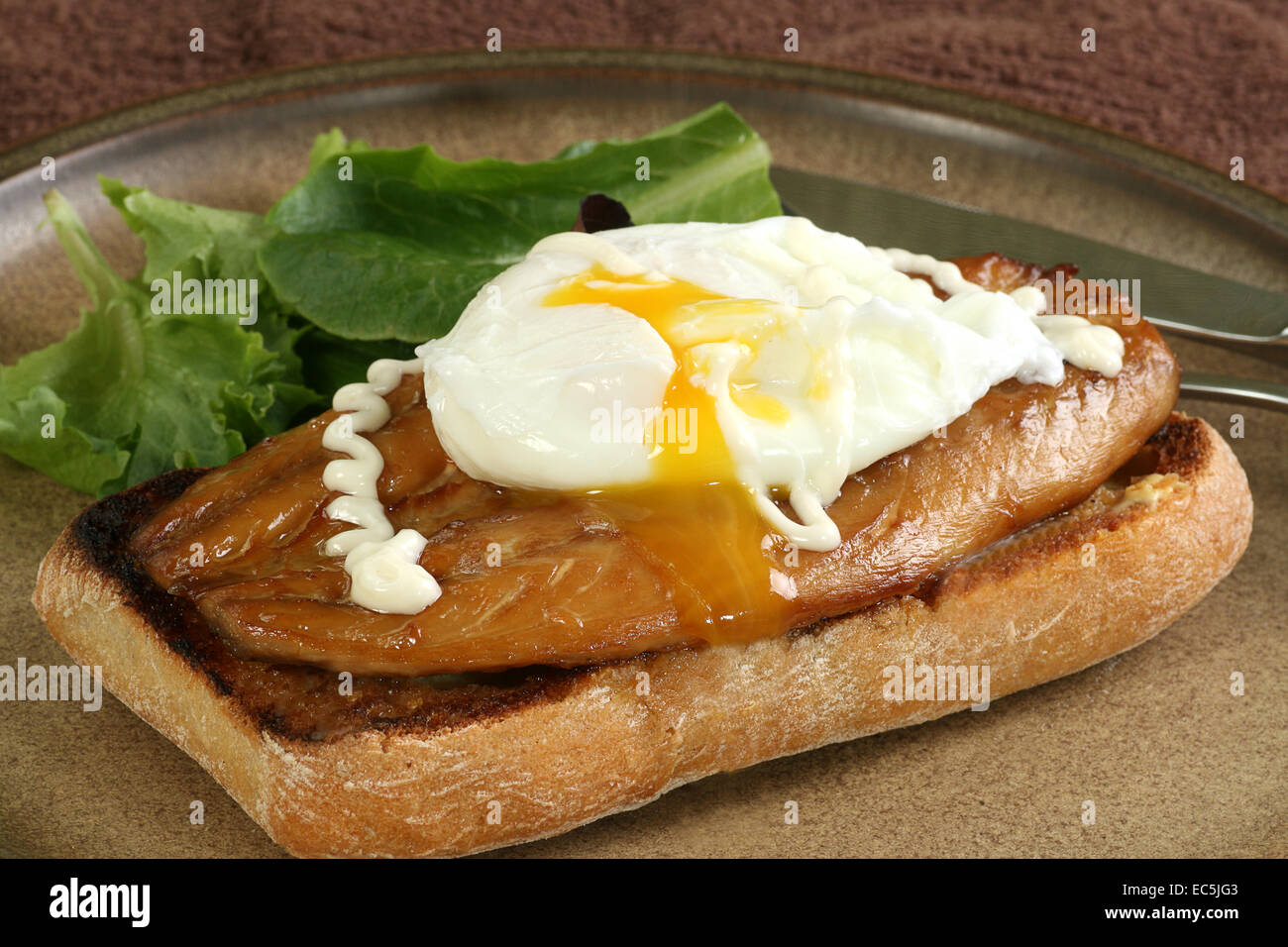 smoked mackerel on toasted ciabata topped with a poached egg Stock Photo