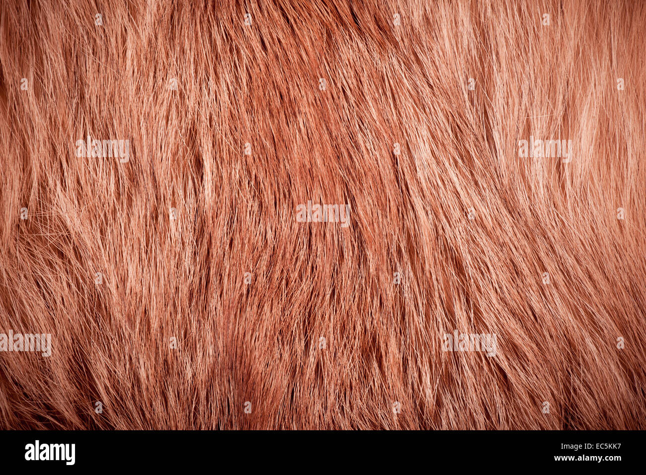 Red fox fur hair texture cloth Stock Photo