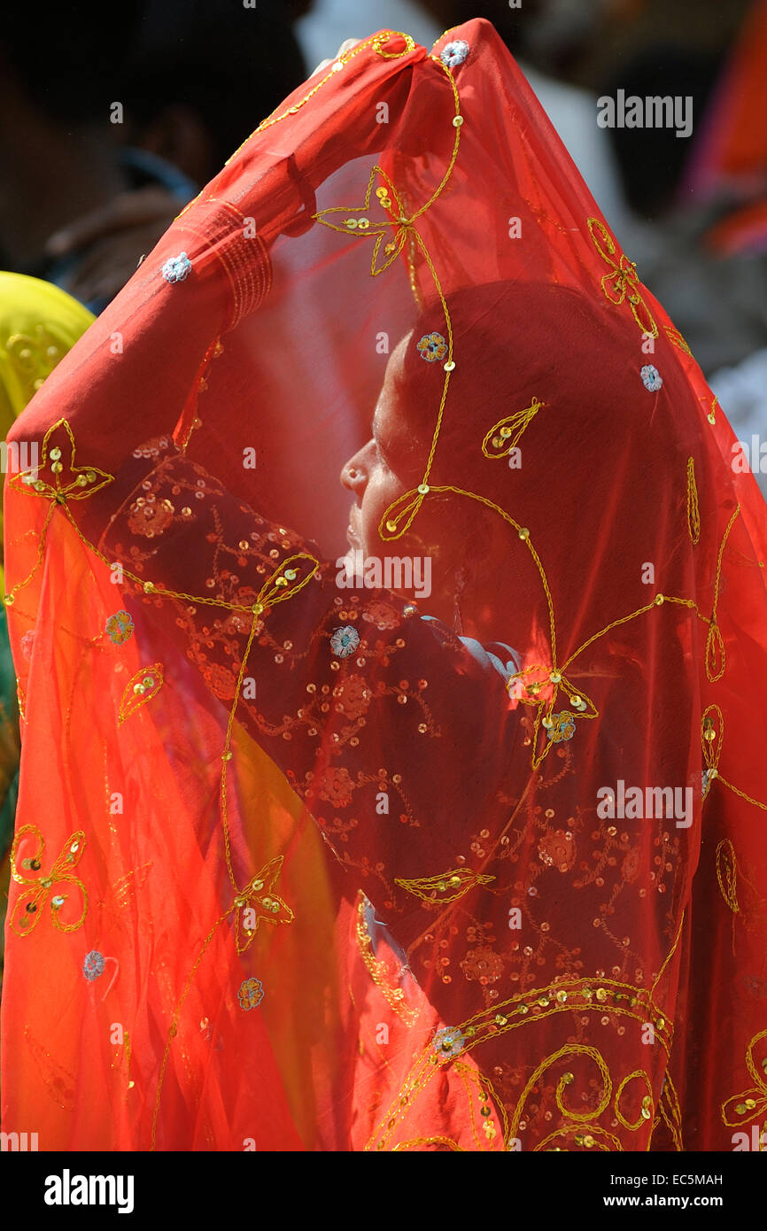 Indian woman with the veil over her face stock photo alamy