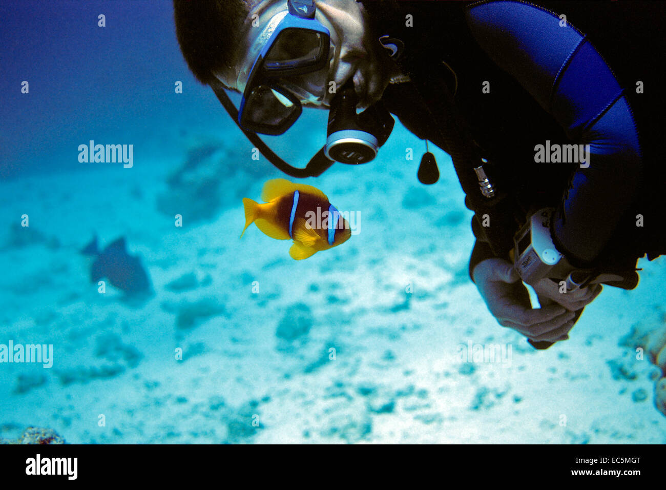 Rotes Meer Stock Photo