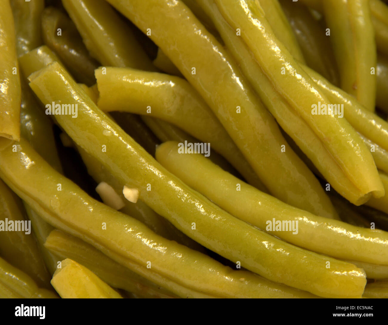 Bean shrub hi-res stock photography and images - Alamy