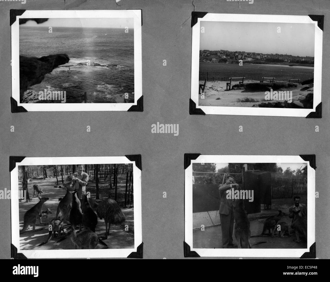 Al77b 022 hi-res stock photography and images - Alamy