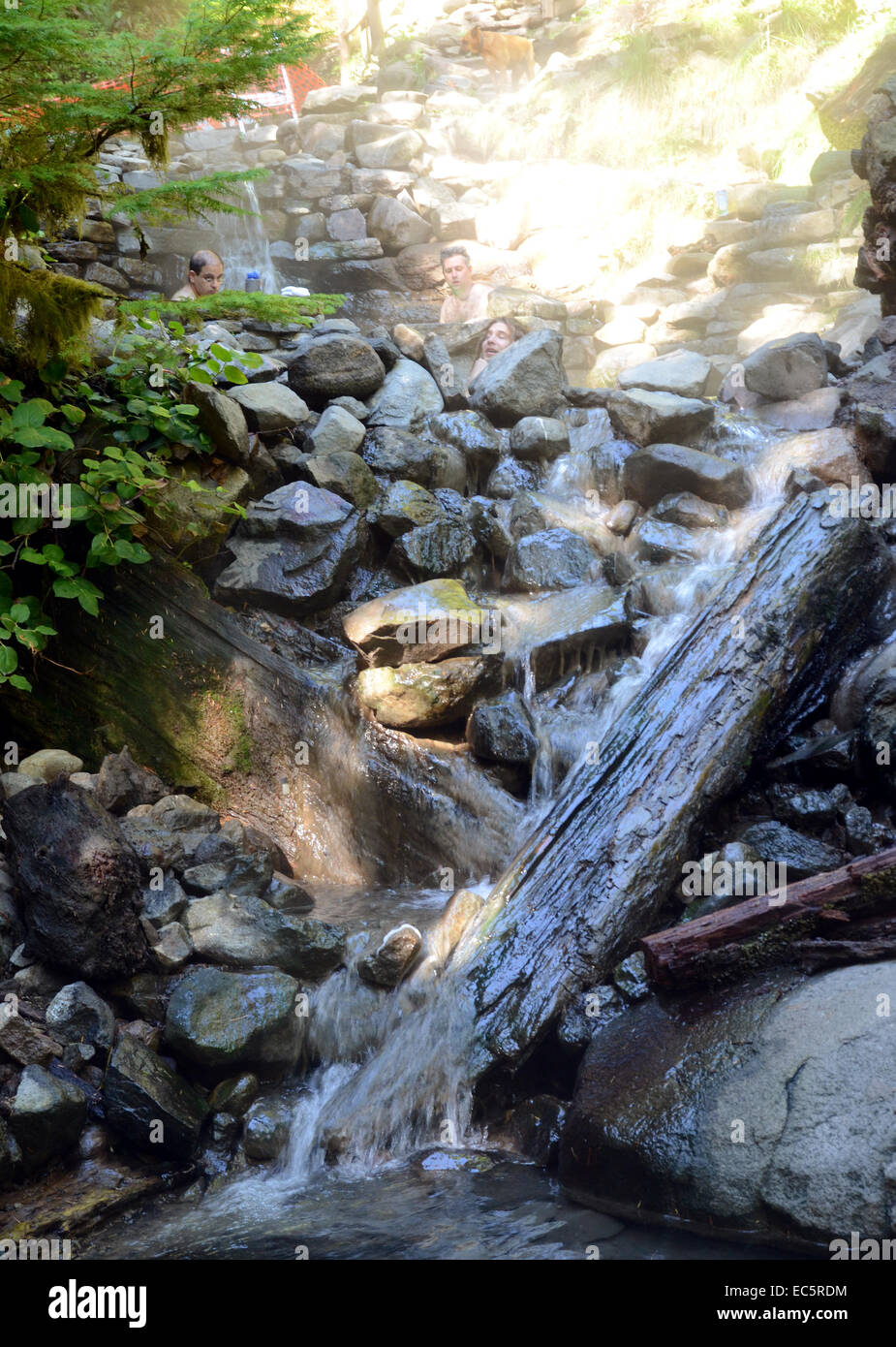 Terwilliger hot springs hires stock photography and images Alamy