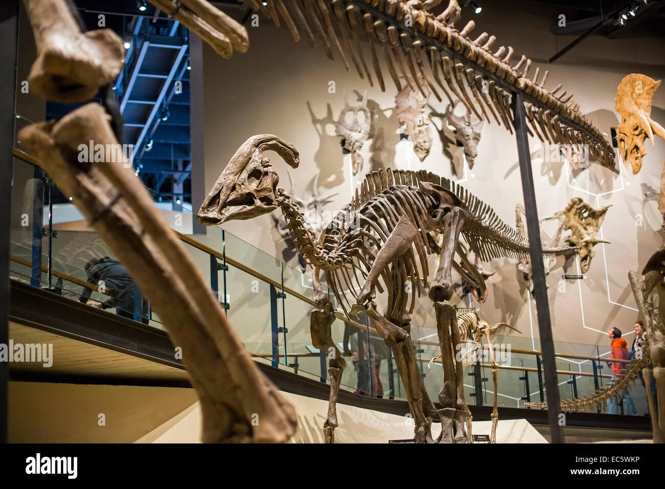 Salt Lake City, Utah - The Natural History Museum of Utah at the ...
