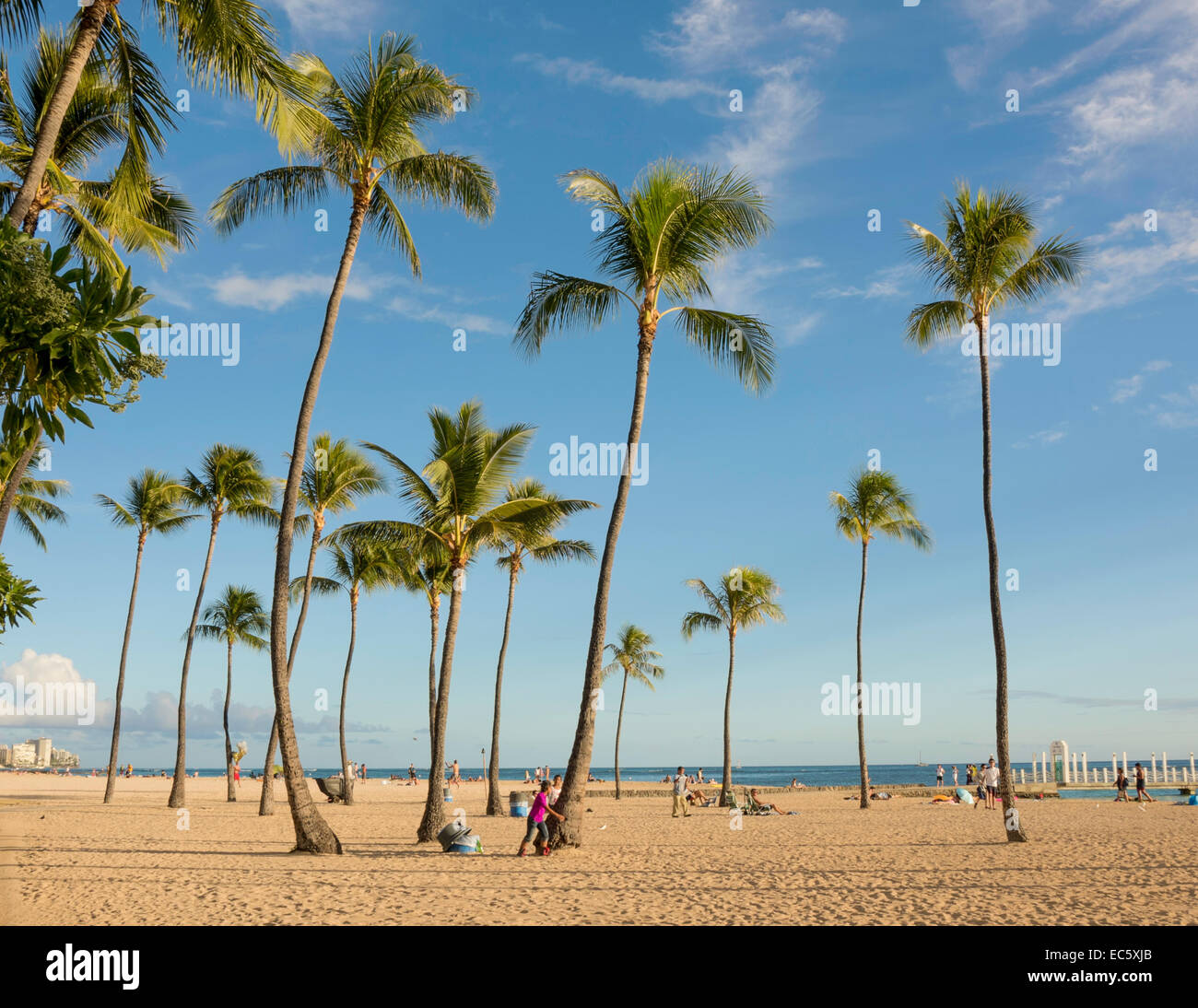 Waikiki beach palm trees hi-res stock photography and images - Alamy
