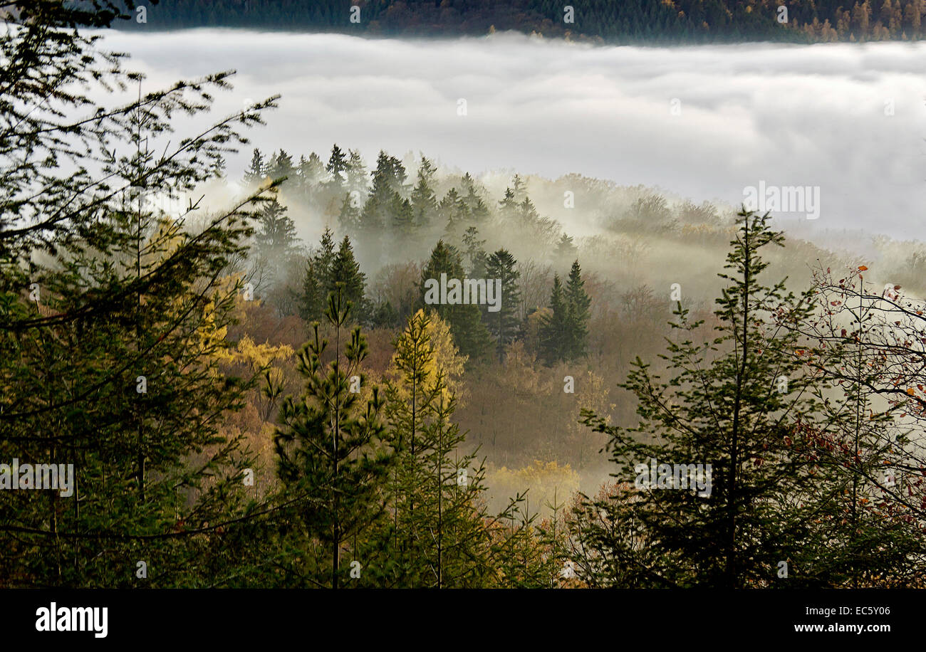 Fog in the field hi-res stock photography and images - Alamy