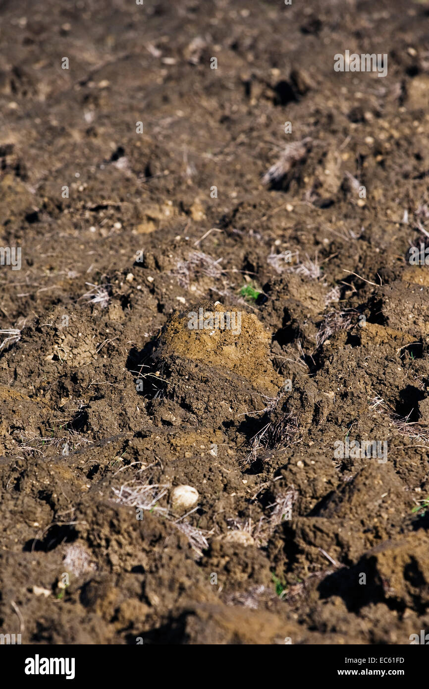 ploughed soil in the winter Stock Photo