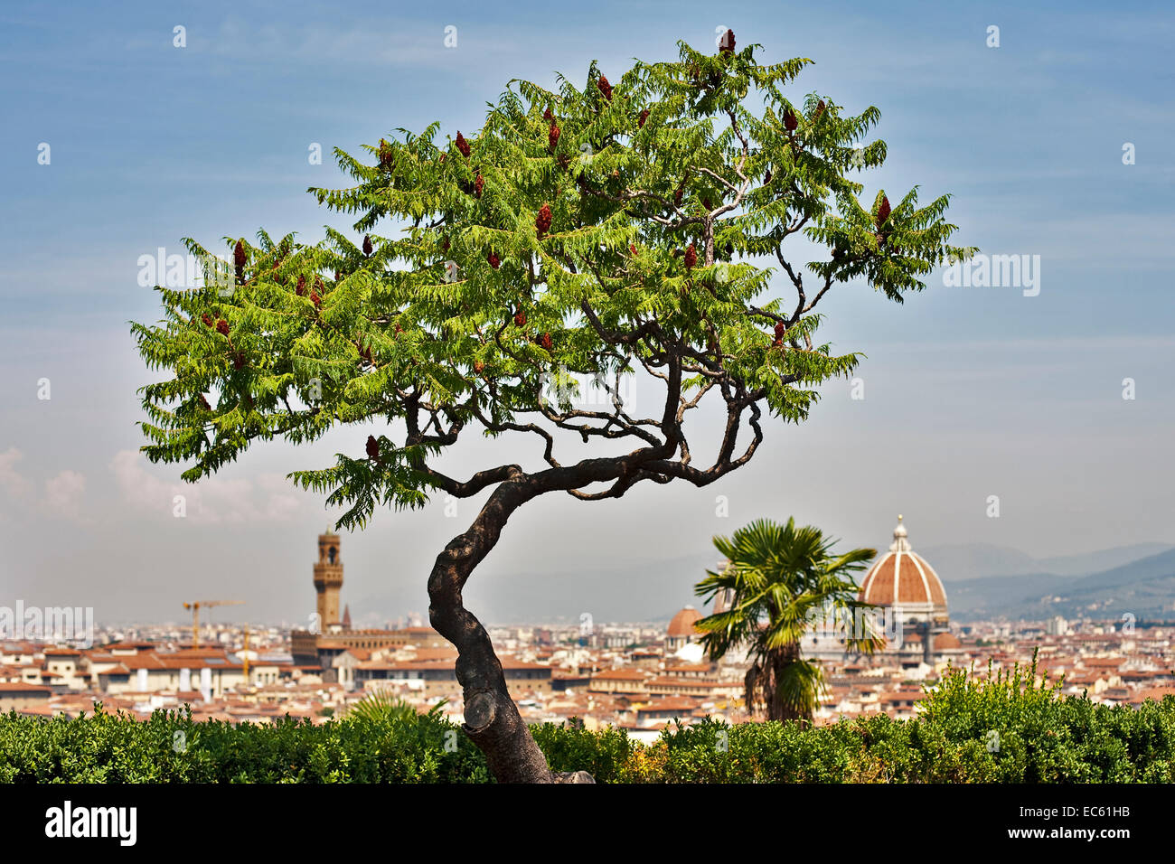 townscape from Florence, Toscany, Europe Stock Photo