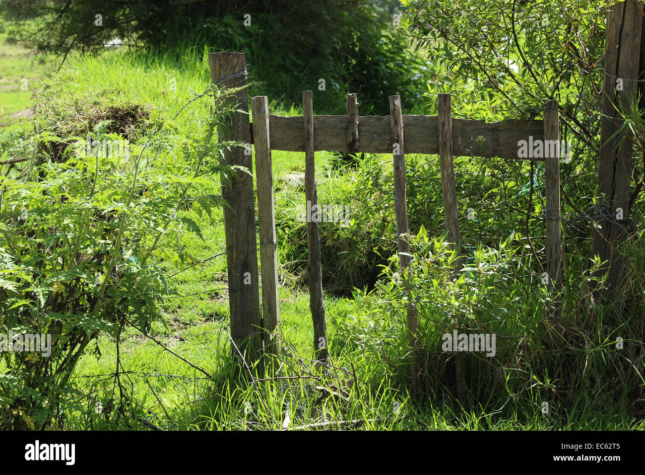 Pasture Gate Hi Res Stock Photography And Images Alamy