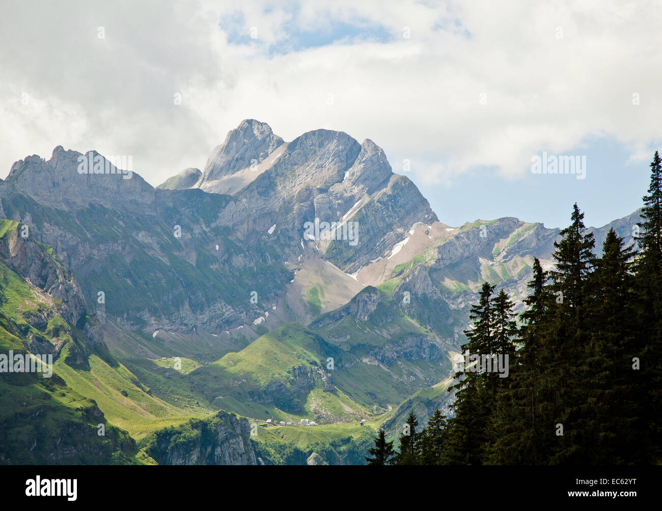 Altmann hi-res stock photography and images - Alamy