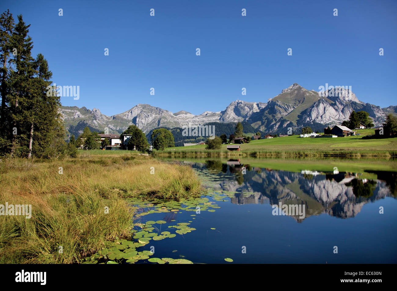 front Schwendisee, alpstein, Switzerland, mountains, Stock Photo
