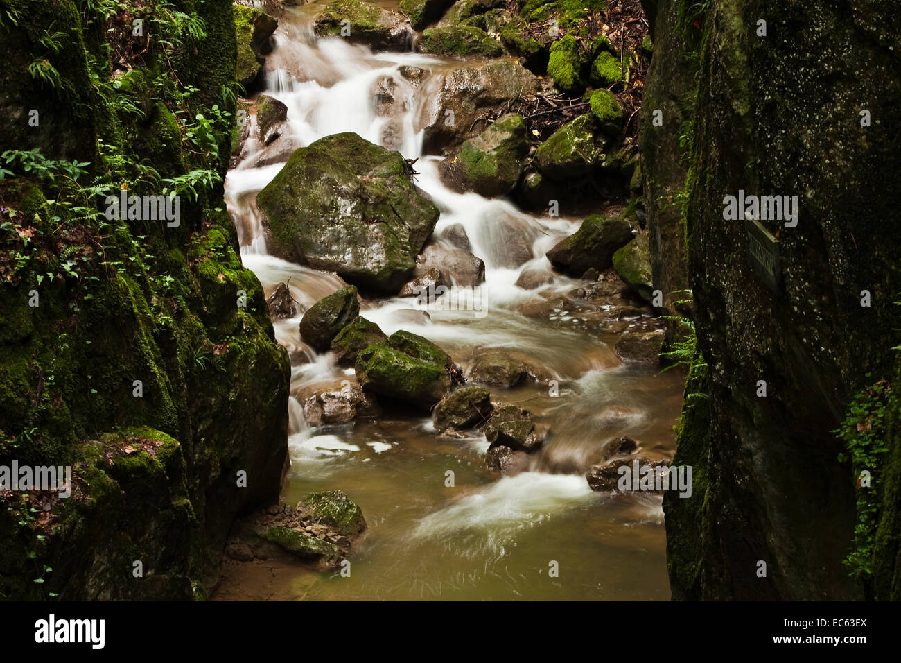 mountain stream Stock Photo