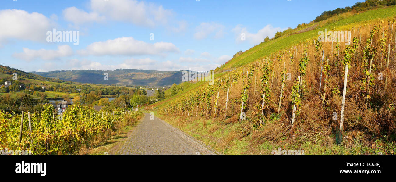 Cobbled lane to Wolf in autumn Stock Photo