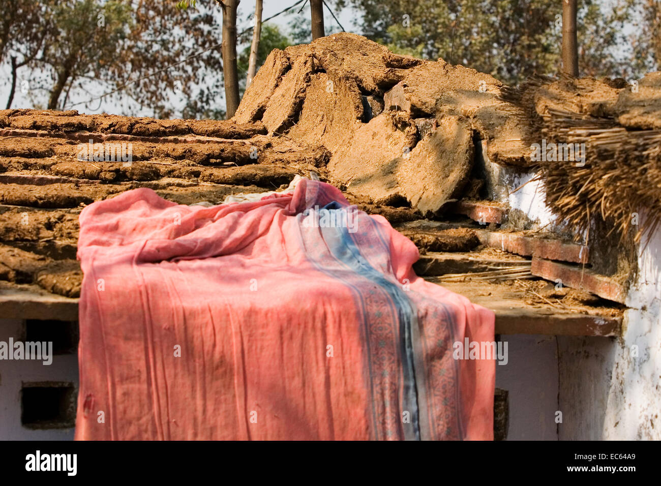 cowpat and clothes on a roof, North India, India, Asia Stock Photo