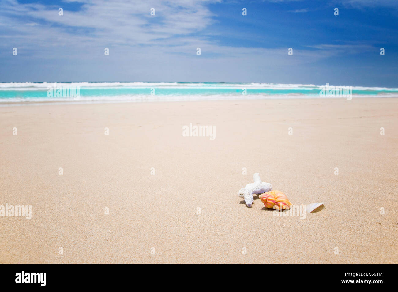 Shell beaches on sea hi-res stock photography and images - Alamy