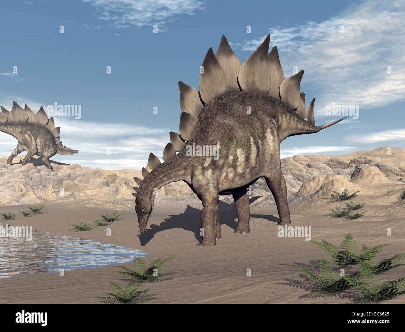 One stegosaurus walking to water and other standing on a hill in the desert by day Stock Photo