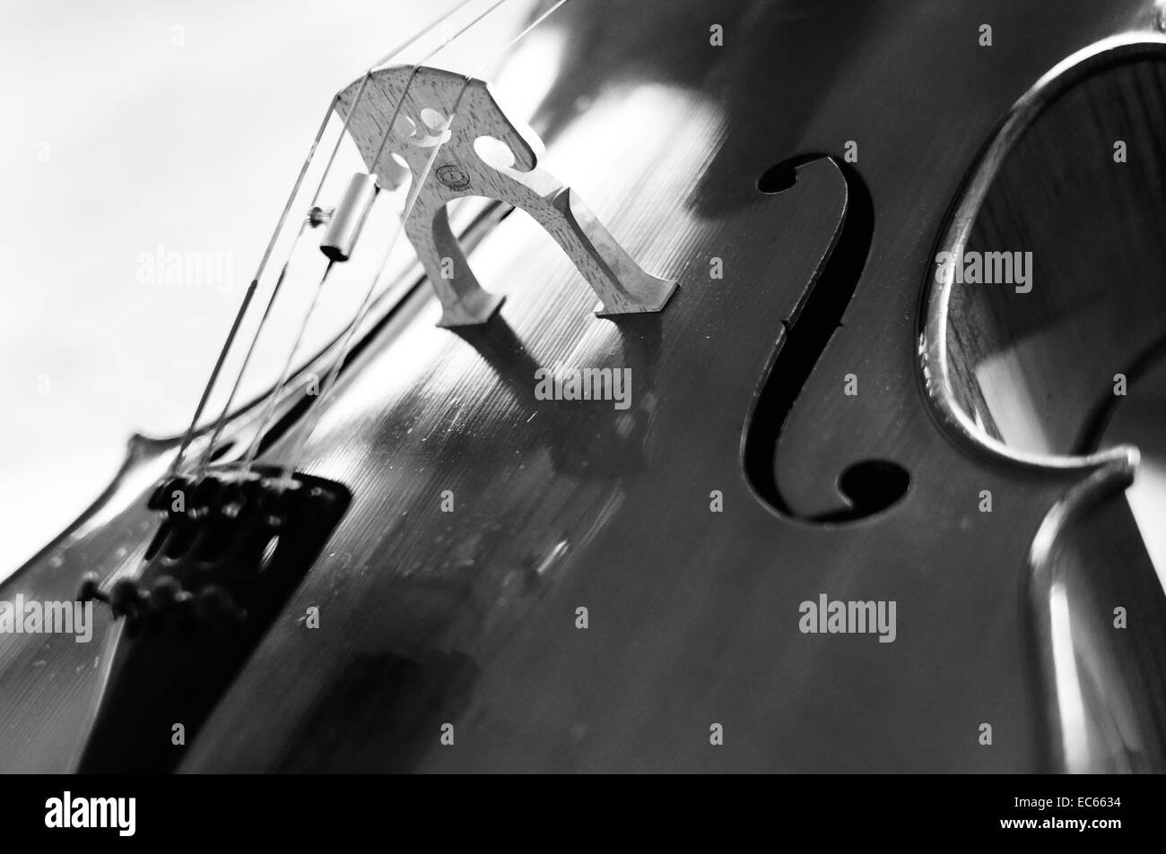 Cello Black and White Stock Photos & Images Alamy