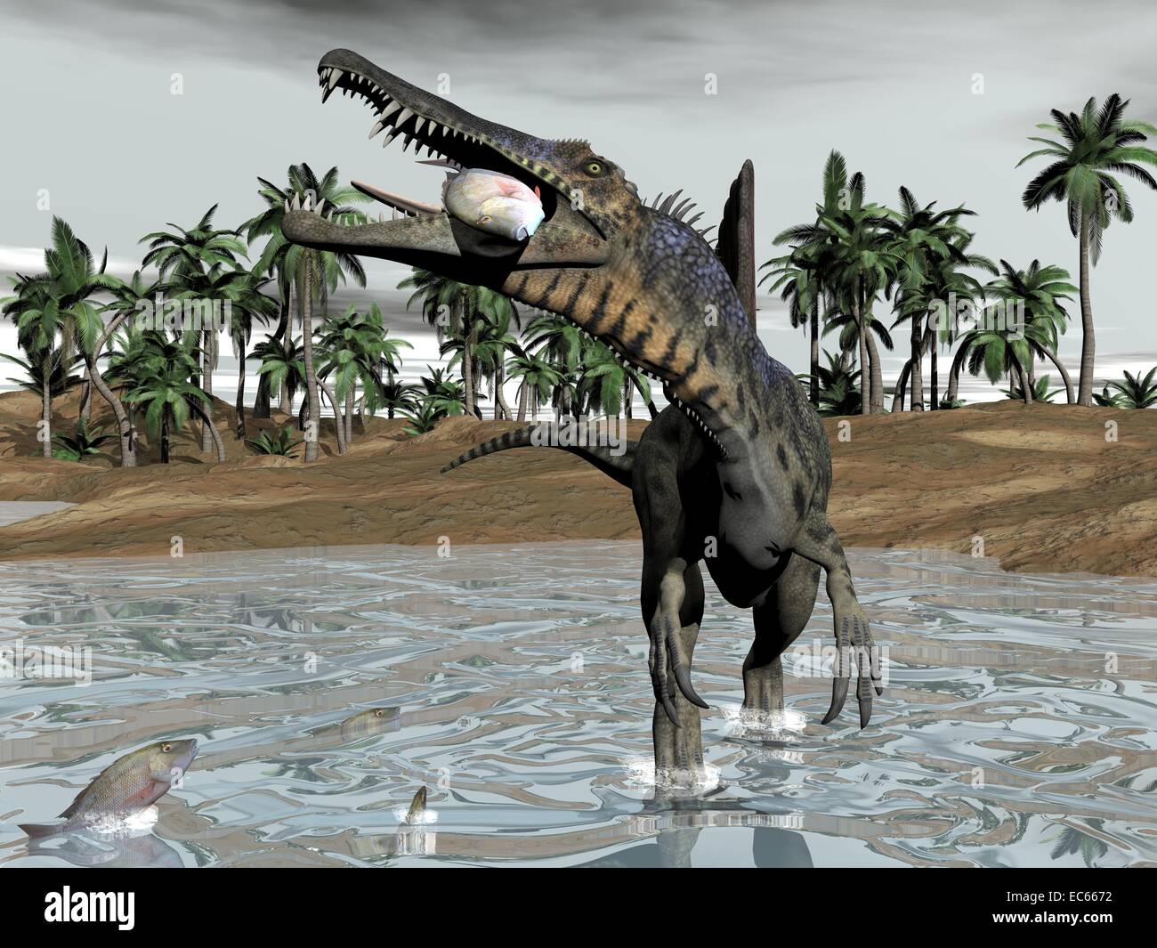 One spinosaurus dinosaur walking in water and eating fish by cloudy day Stock Photo