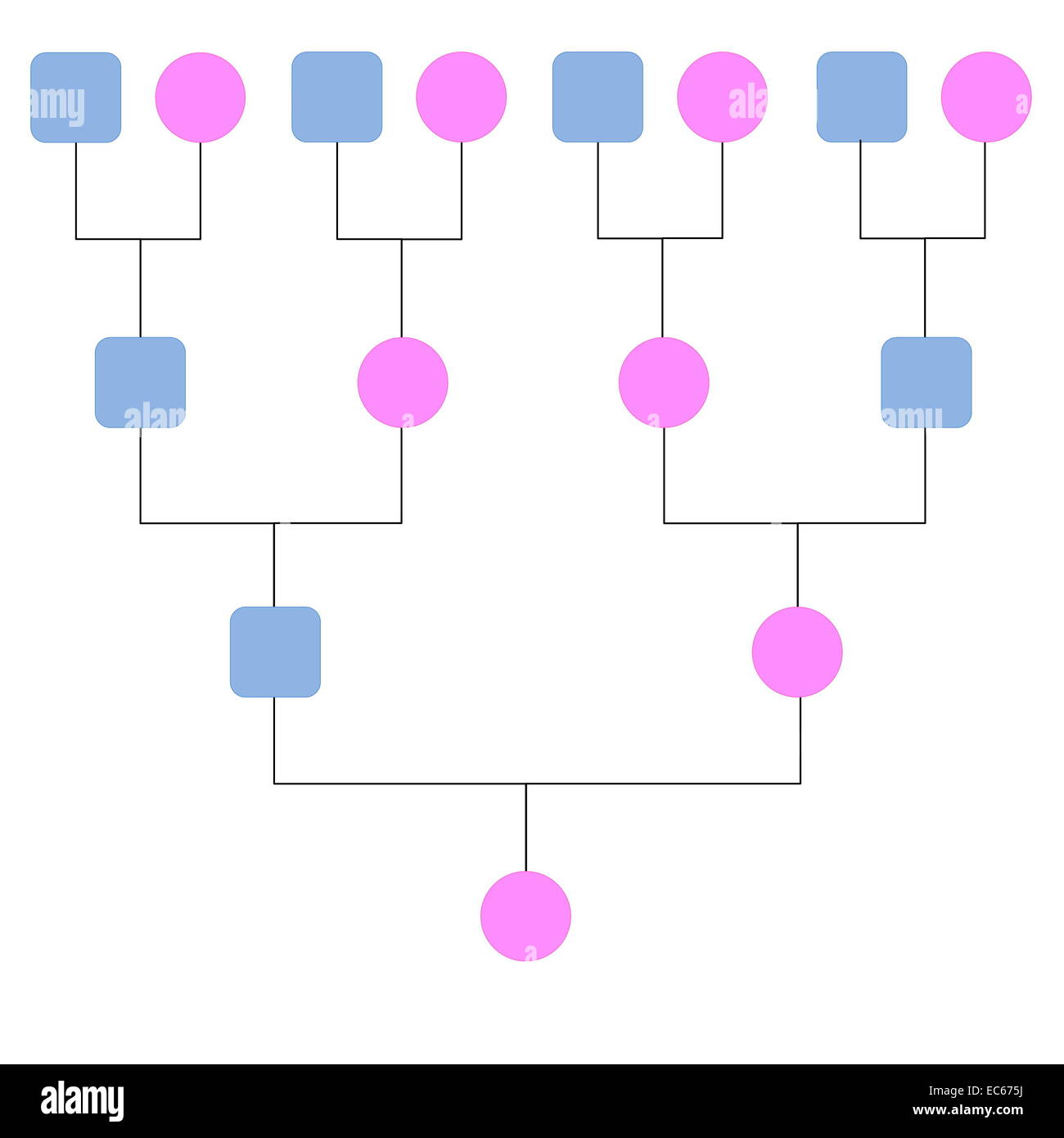 Symbolic family tree with pink females and blue males Stock Photo