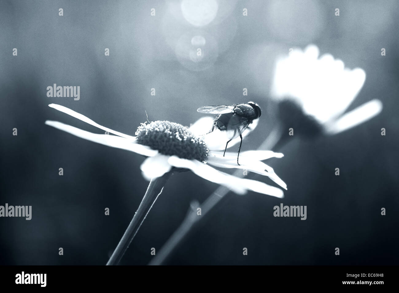 Nice view hi-res stock photography and images - Alamy