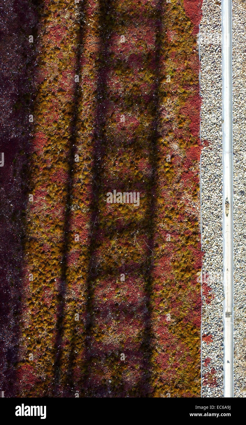 Birds eye view Stock Photo