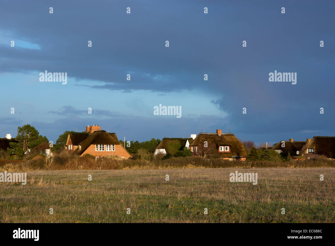 Thatched houses in Kampen in the evening light, North Frisian Island Sylt , North Sea, Schleswig Holstein, Germany, Europe Stock Photo