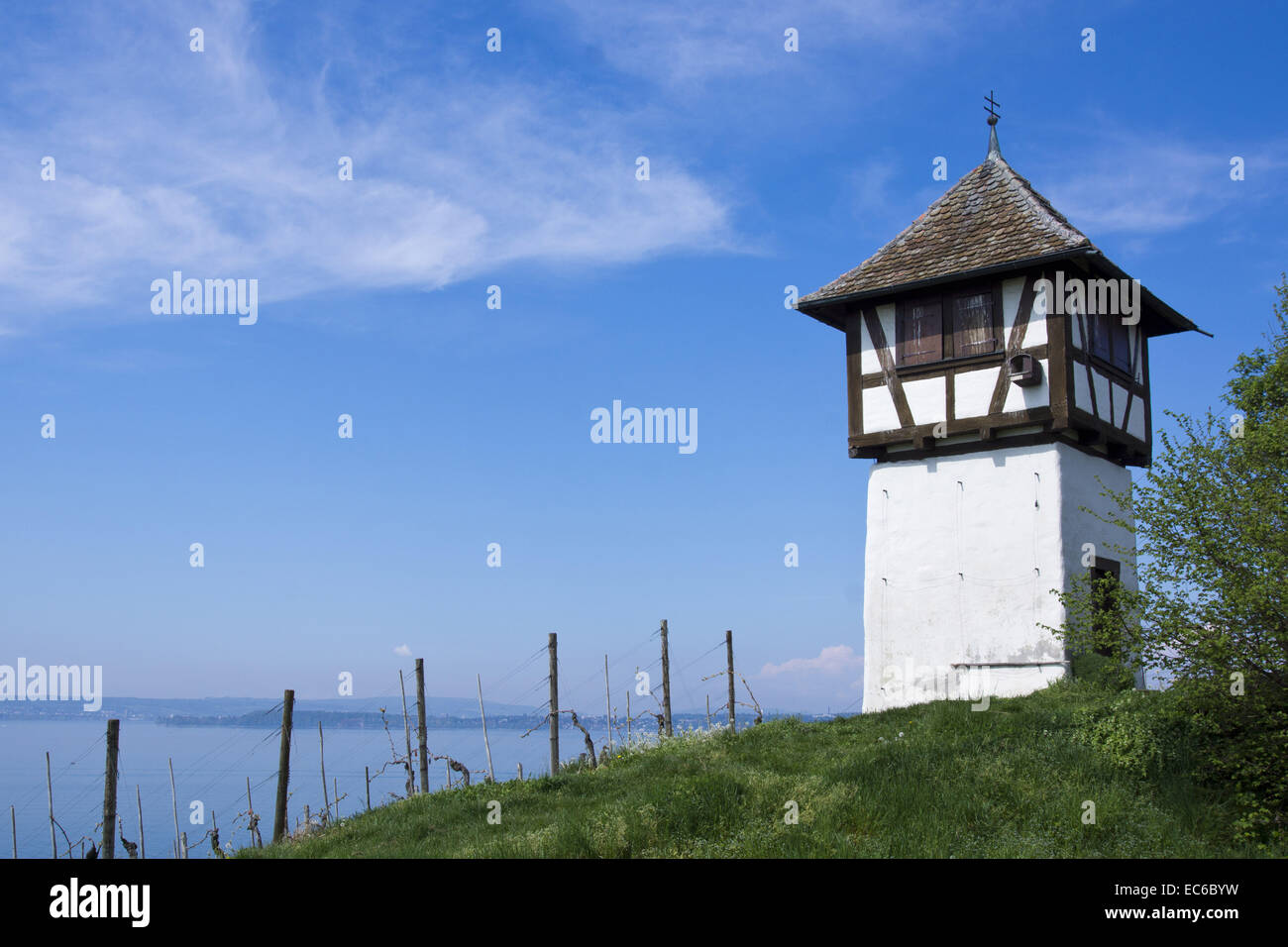 Winegrower tower and Rebgut Haltnau vineyard on Lake Constance, in the background Meersburg, Baden-Wuerttemberg, Germany, Europe Stock Photo
