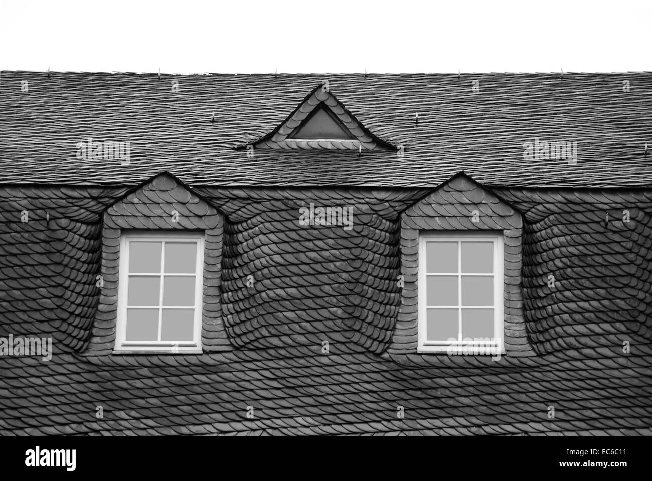Roof shingles Stock Photo