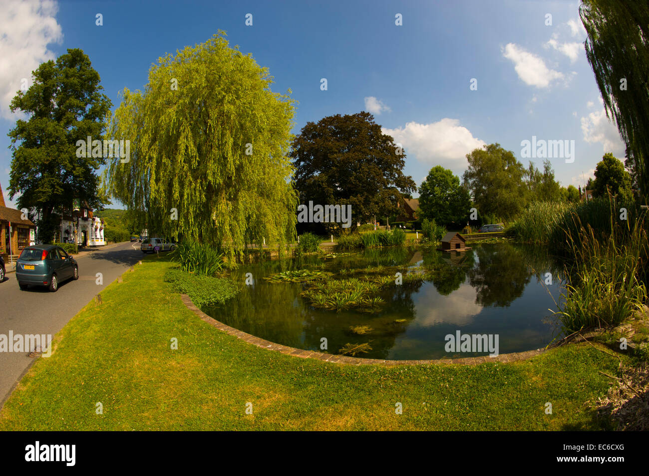 The Duck pond on the traffic roundabout, Otford Kent. Stock Photo