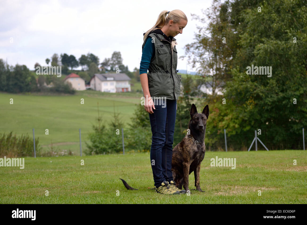 Dog trainer with a Dutch Shepherd Stock Photo