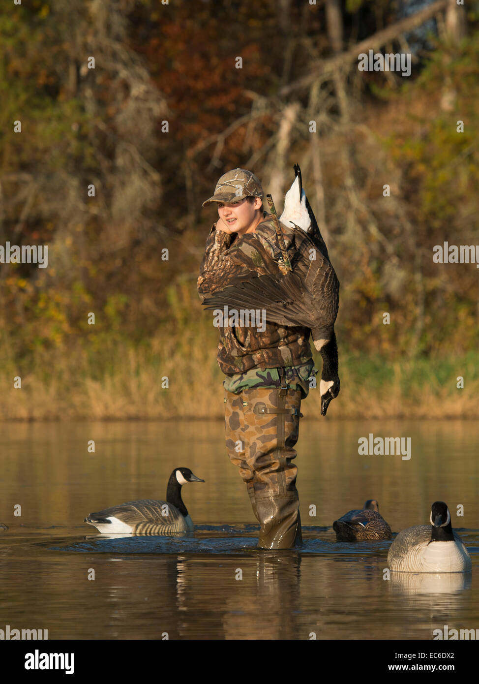 Young Goose Hunter Stock Photo