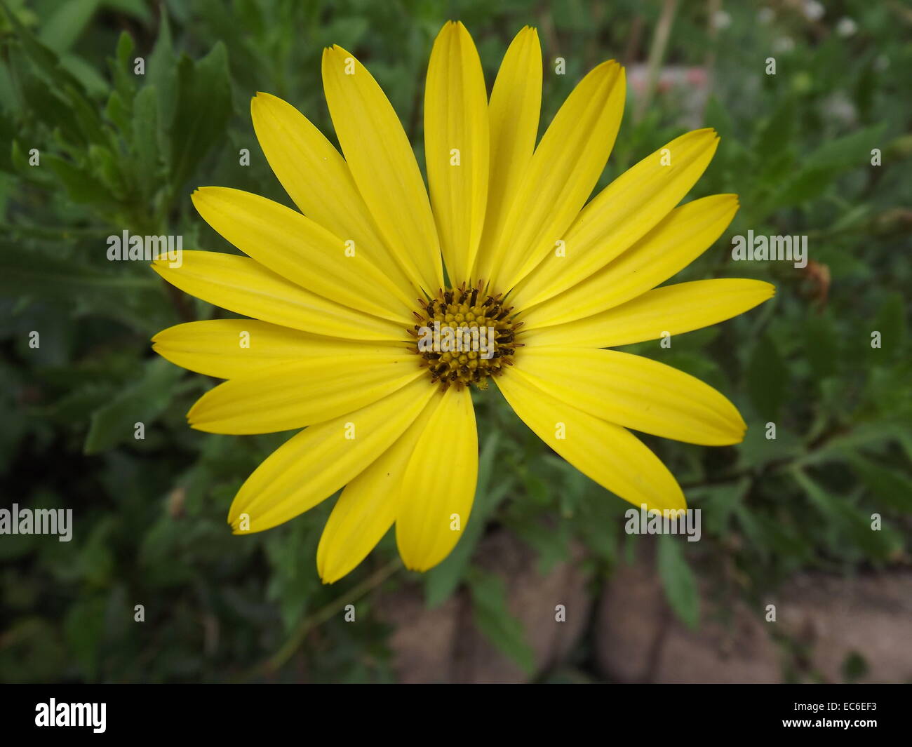 almost completely Stock Photo